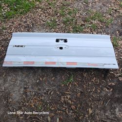 2009 to 2014 Ford F150 Tailgate