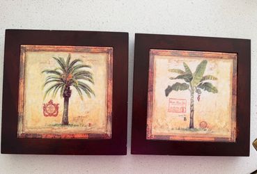 Island Palm by Chad Barret