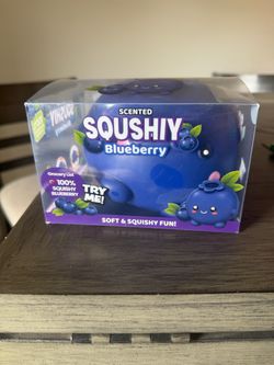 Jumbo Blueberry Squishy