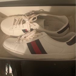 Gucci Ace Shoes