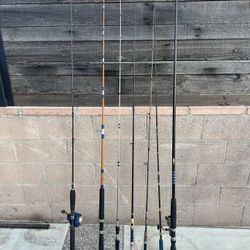 Deep sea and freshwater rod and reels