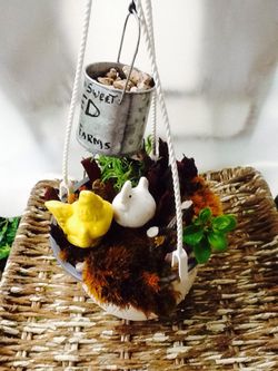 Miniature Hanging Fairy Garden...Real Moss And Plants