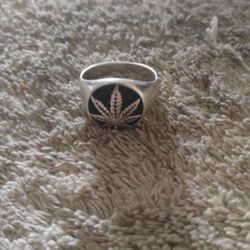 Marijuana Ring