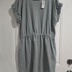 Loft Short Dress New