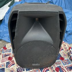 Edison Professional Big Speaker 