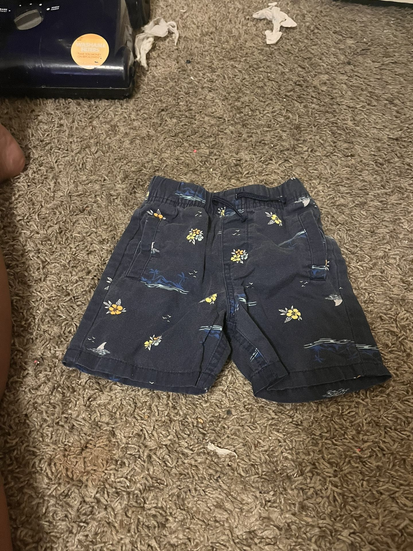 Garanimals Boys 2T