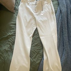 Express pants 