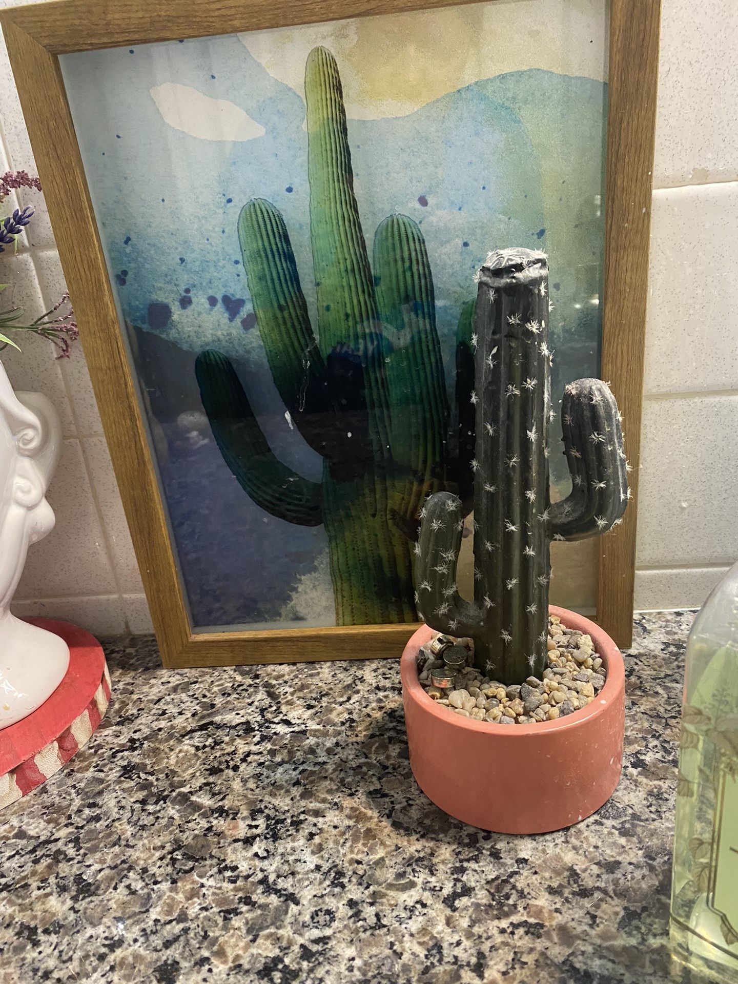 A Picture Frame N A Fake Cactus Plant $20. Obo