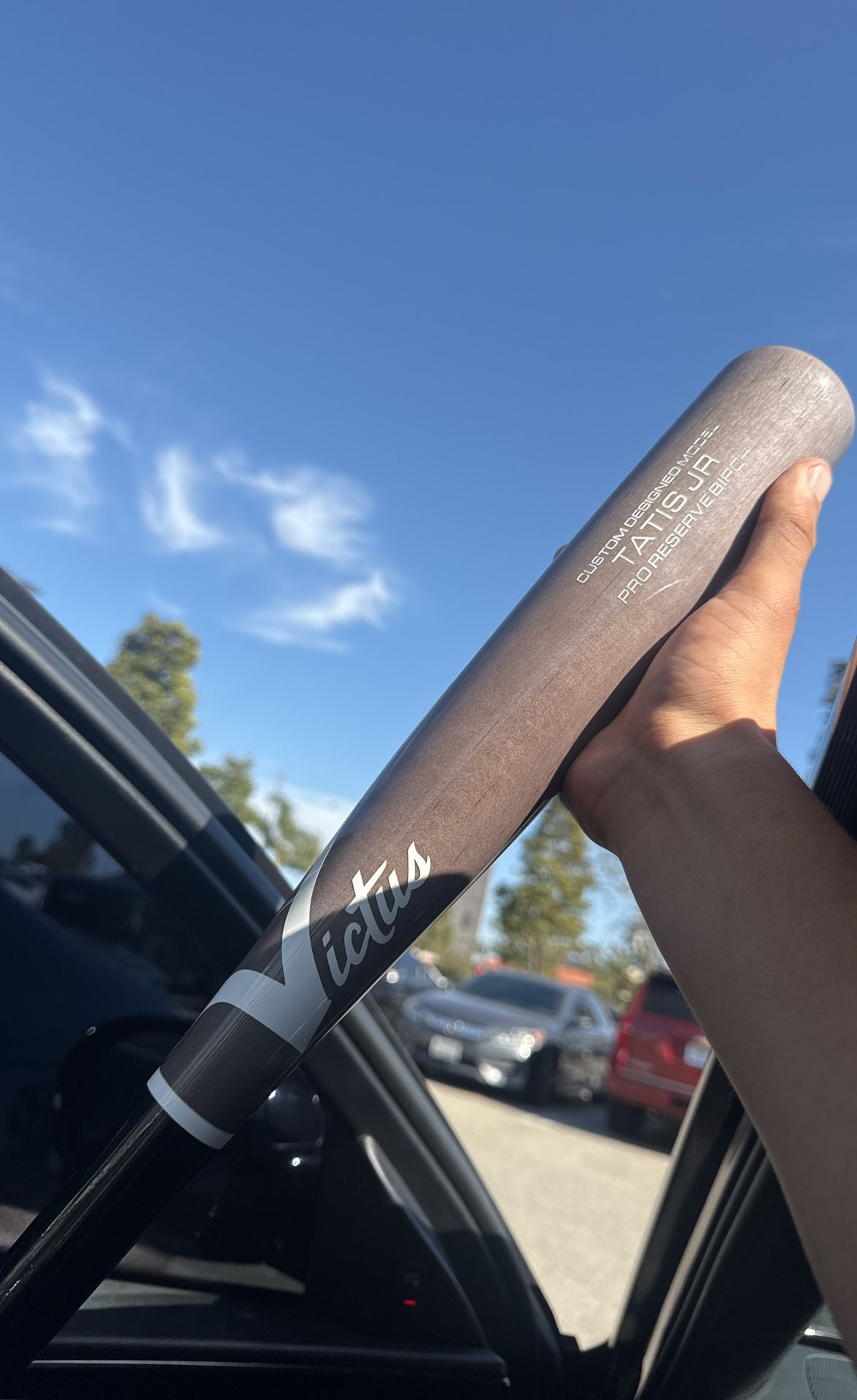 victus fernando tatis jr bat