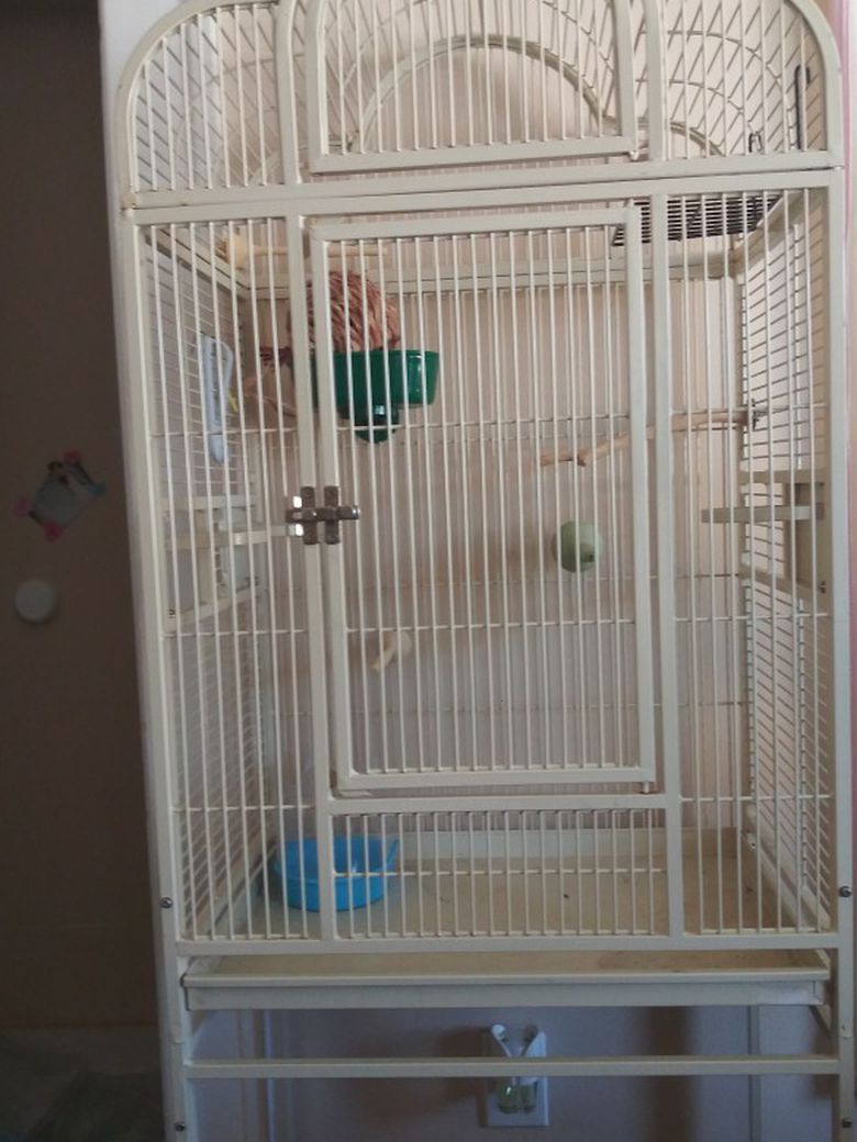 Big Tall  Bird Cage.. 