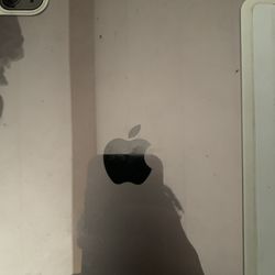 iPad Repair