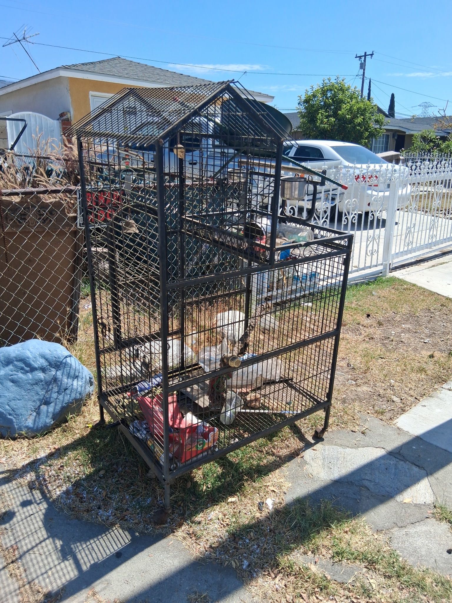 Bird Cage