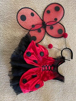Lady bug costume