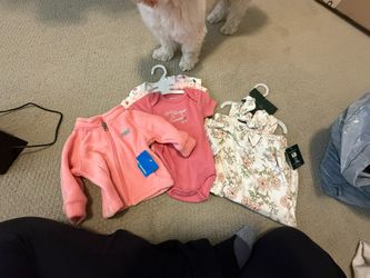 Baby Girl Clothes