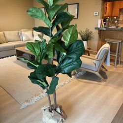 Faux Potted Fiddle Leaf Fig Tree, Medium - 5.4ft