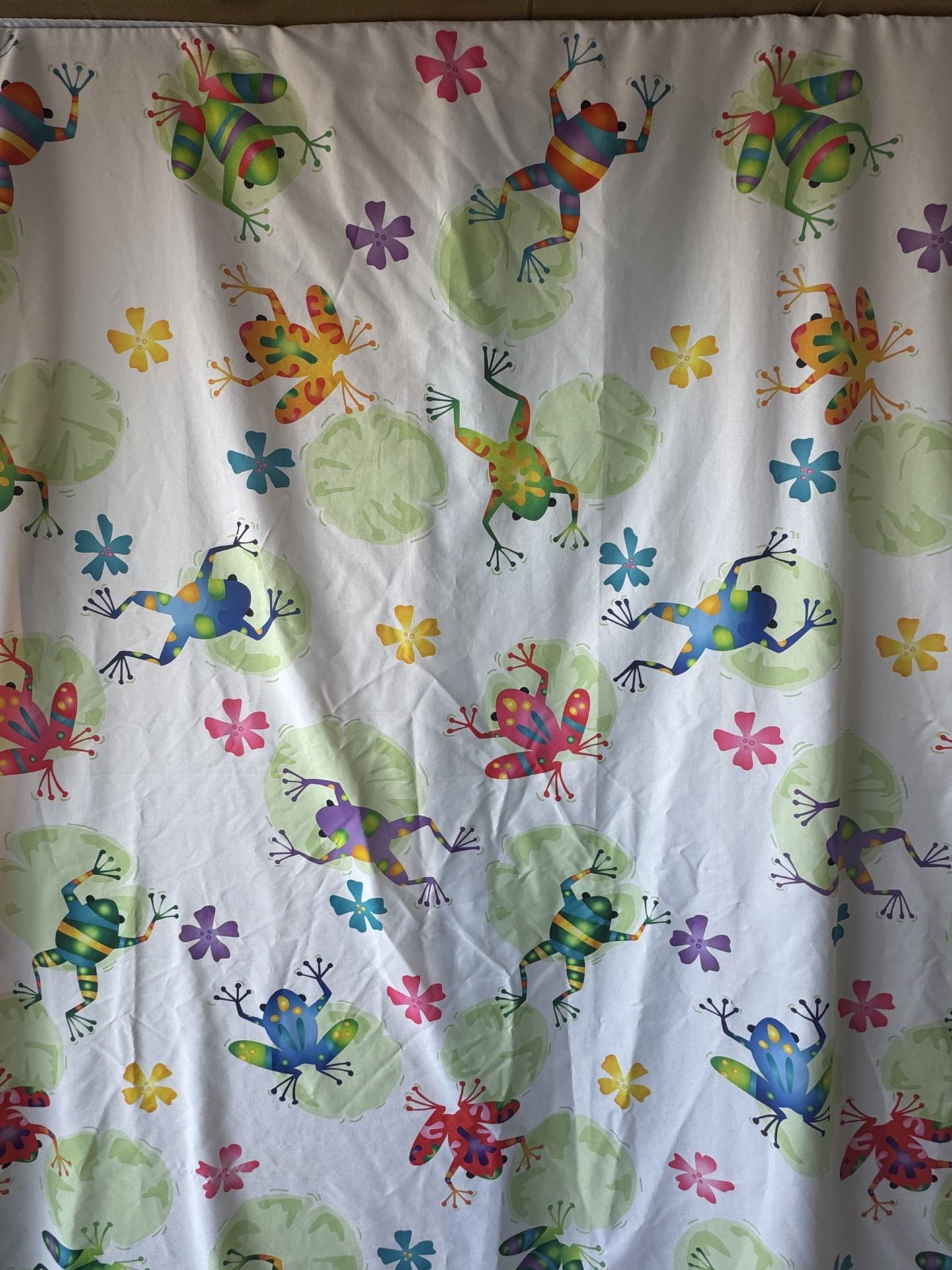 Shower Curtain With Hooks - Whimsical Frog