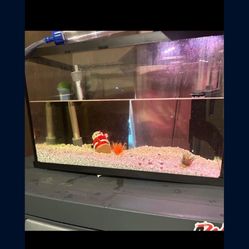 10 Gallon Glass Tank 