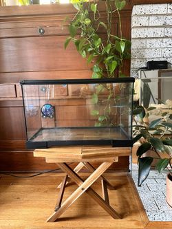 20x10 Terranium Tank 
