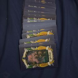 Harry Potter Trading Cards 