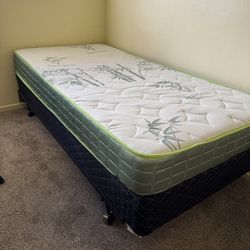 Twin Mattress Set 