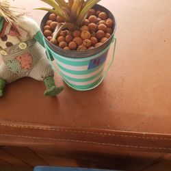 ORNAMENTAL PINEAPPLE $4.