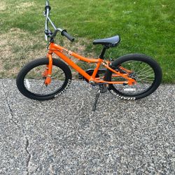 Raleigh BMX Style Bike with 20” tires