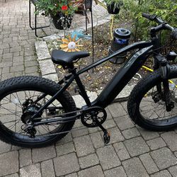 Electric Pedal Bike Fat Tire