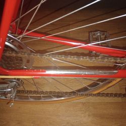 Regent Cycle Pro 1020