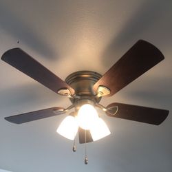Ceiling fan Licensed electrician 