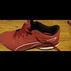 Brand New Puma's Size 12