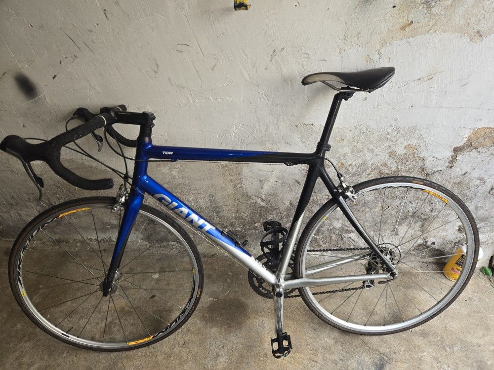 Racing Giant Bike