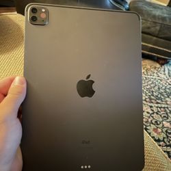 iPad Pro 11in (256gig)