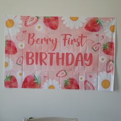 First Birthday Strawberries Theme 