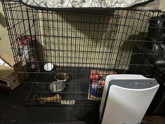 Big Dog Cage