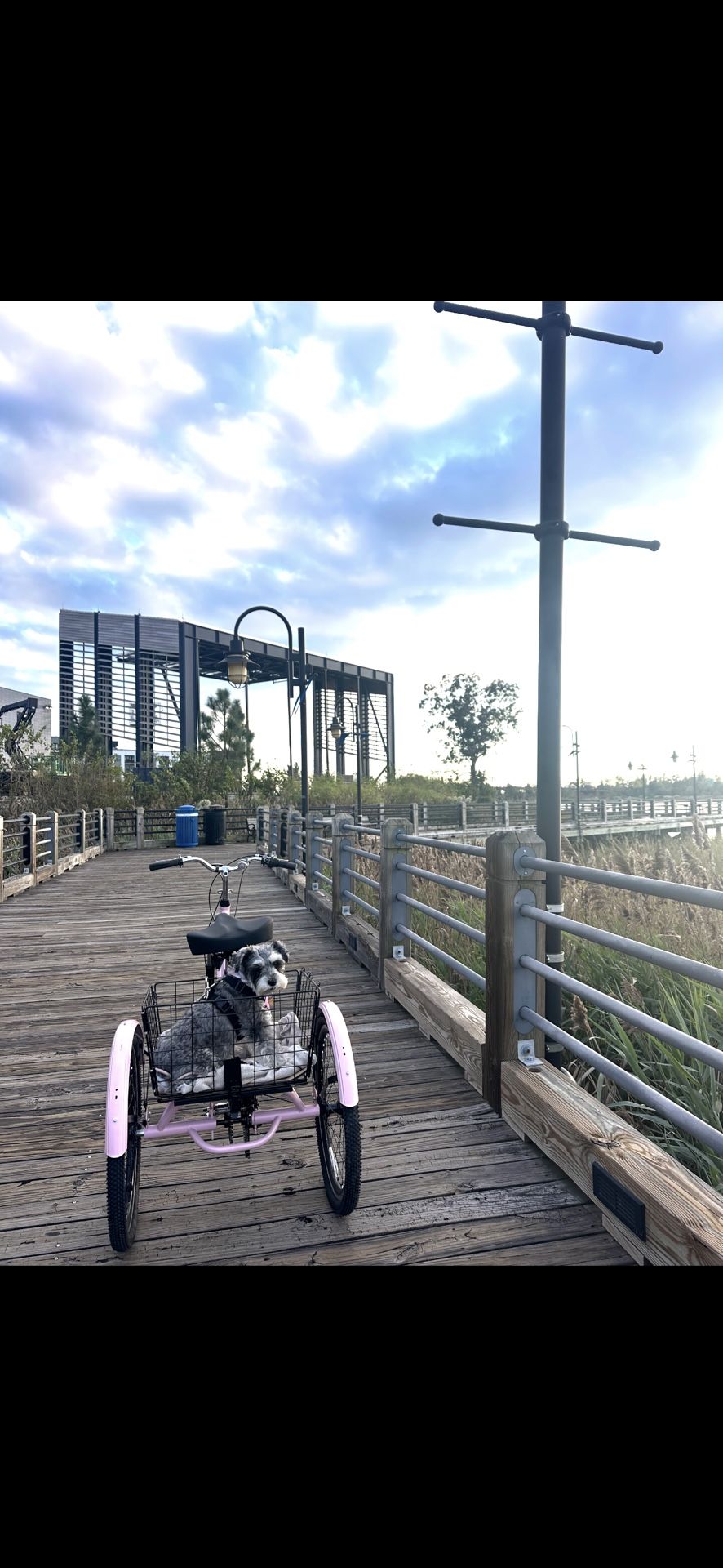 Bike For Sale With Cart