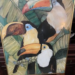 Toucans  Print