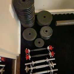 Weight Plates 1” Standard. 250 Lb Total $ 225 Free Dumbbell Handles