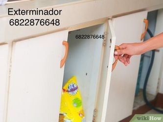 Fumigador Exterminador 