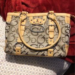 Guess Purse 