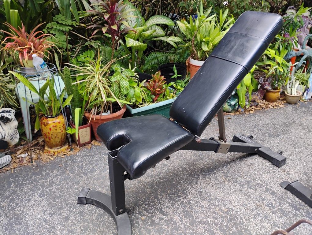 NAUTILUS HIGH END ADJUSTABLE BENCH (Inclines / Goes Flat / Declines)