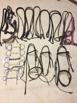 Horse Bridles , bits, reins, and helmet