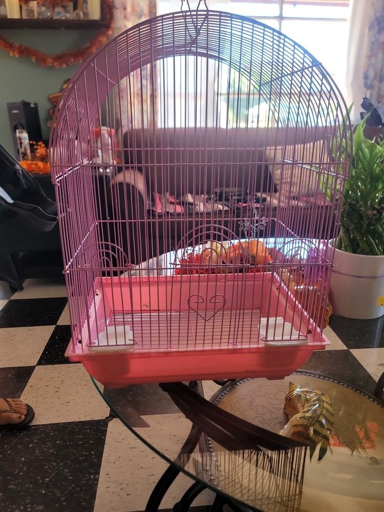 small bird cage