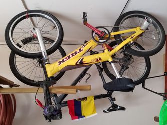 Trek Team Issue 2 BMX