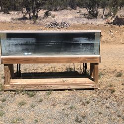 Large Fish Tank