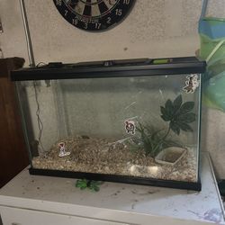 Fish Or Reptile Tank 