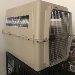 Dog Kennel Cage