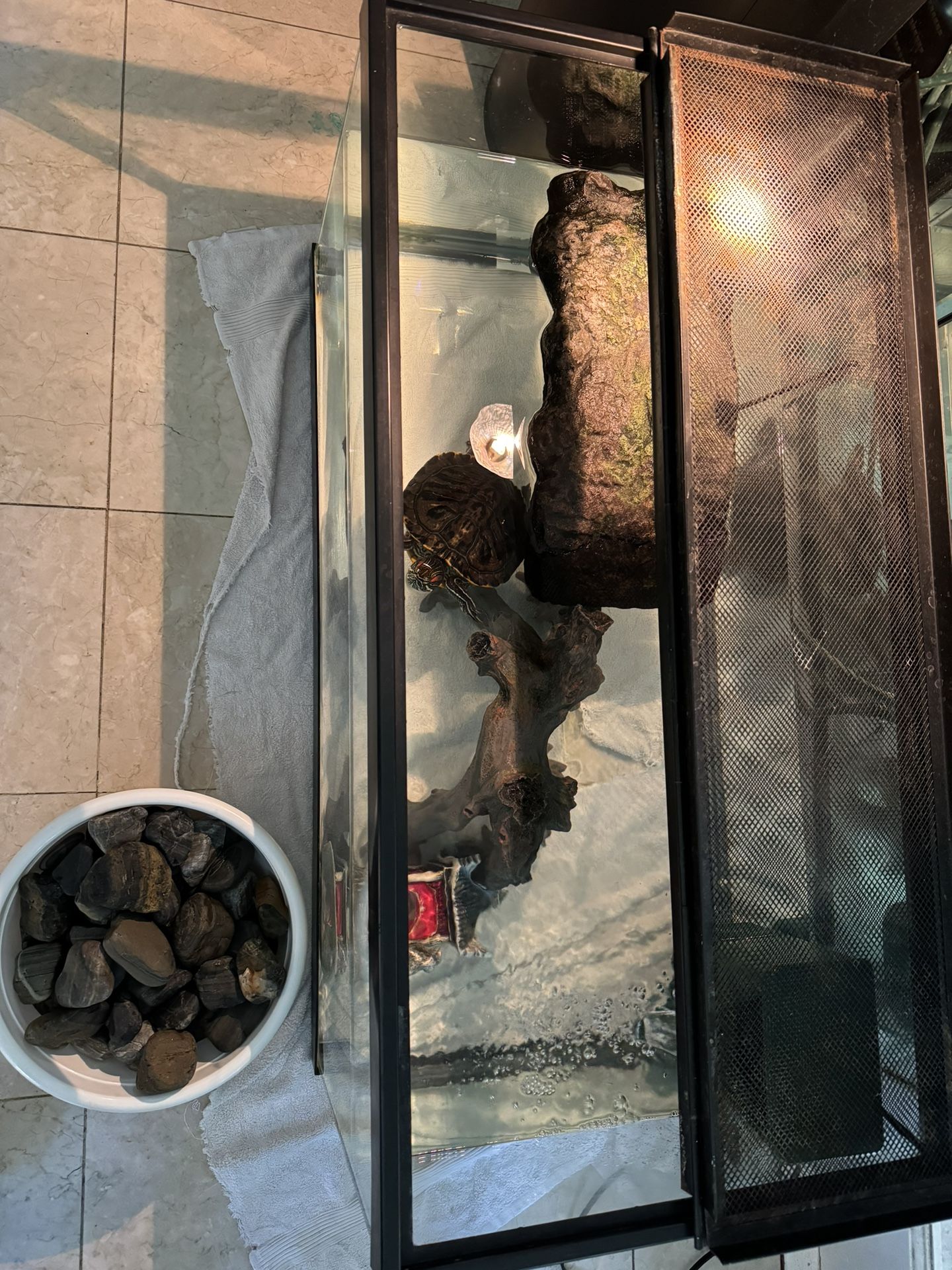 40g Turtle Tank