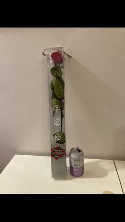 Verdissimo Preserved Live Rose 21 1/2” Valentines Day Rose NEW