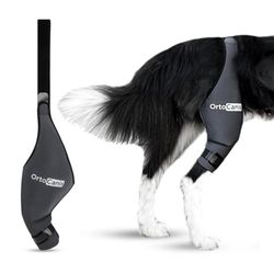 Dog knee brace