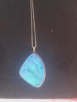 Iridescent Blue Morpho Large Real Butterfly Wing Pendant Sterling Silver Necklace, Unique Custom Chain